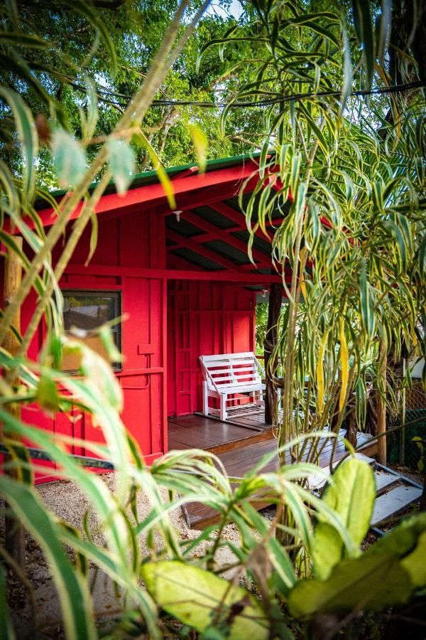 Pura Vida Mini Hostel Santa Teresa Playa Santa Teresa  외부 사진