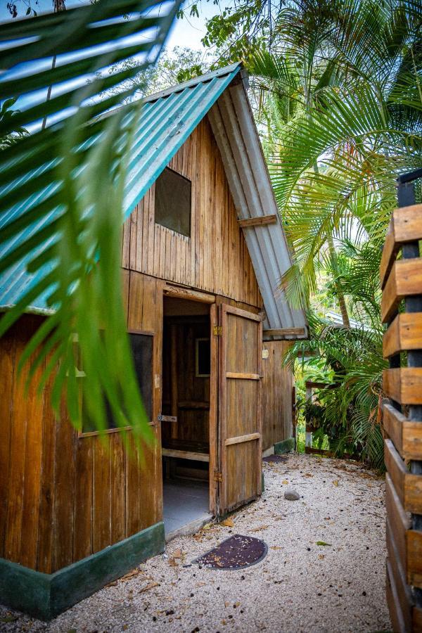 Pura Vida Mini Hostel Santa Teresa Playa Santa Teresa  외부 사진