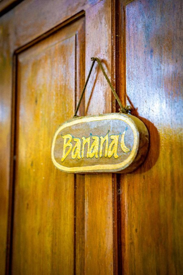 Pura Vida Mini Hostel Santa Teresa Playa Santa Teresa  외부 사진