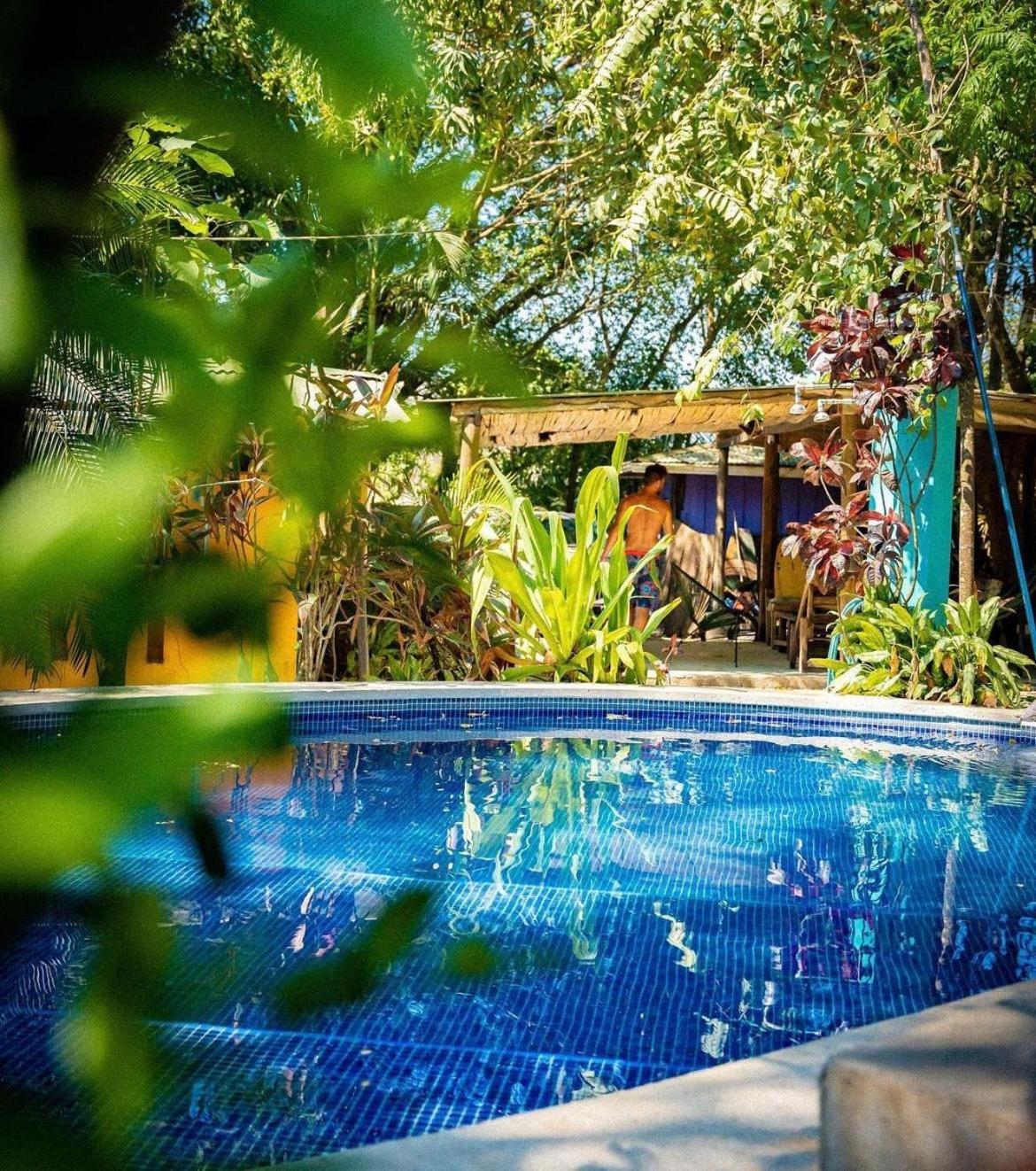 Pura Vida Mini Hostel Santa Teresa Playa Santa Teresa  외부 사진